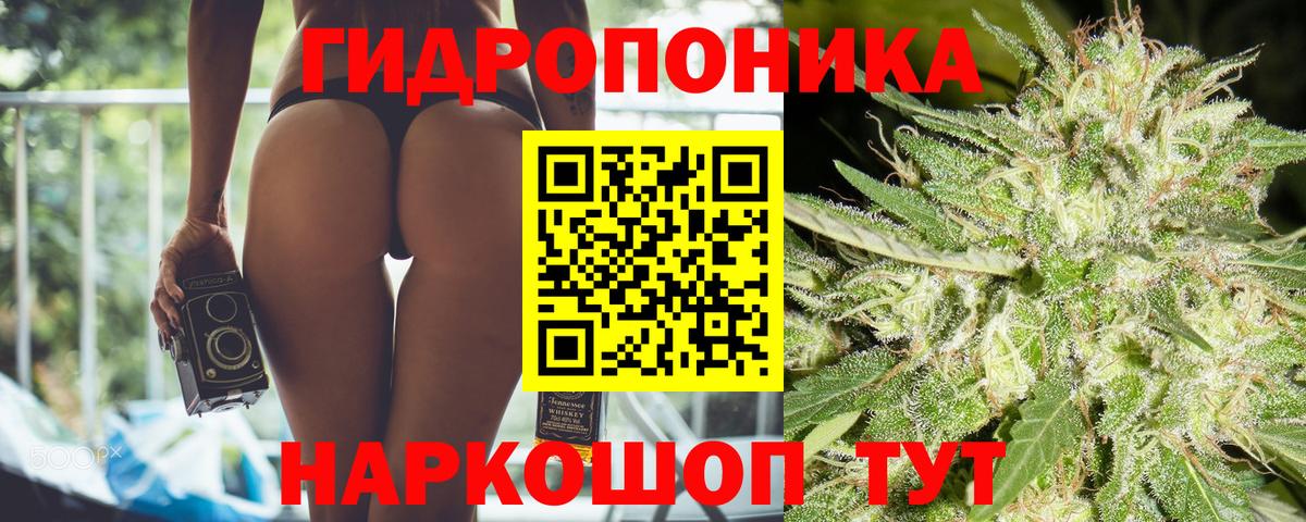 Бошки марихуана ГИДРОПОН  Бошки марихуана сатива  МАРИХУАНА MAZAR  Хабаровск  Вход с VPN 